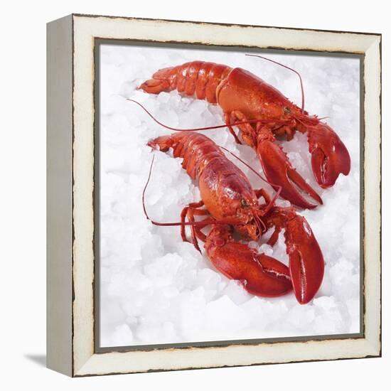 Two Cooked Lobsters on Ice-Jürgen Holz-Framed Premier Image Canvas