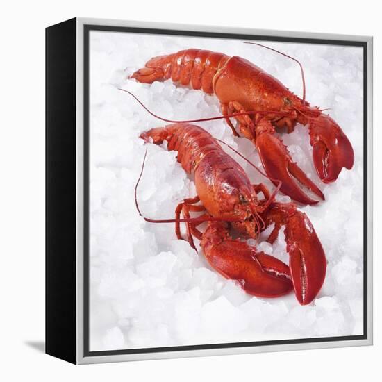 Two Cooked Lobsters on Ice-Jürgen Holz-Framed Premier Image Canvas