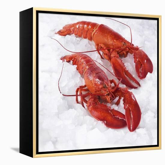Two Cooked Lobsters on Ice-Jürgen Holz-Framed Premier Image Canvas