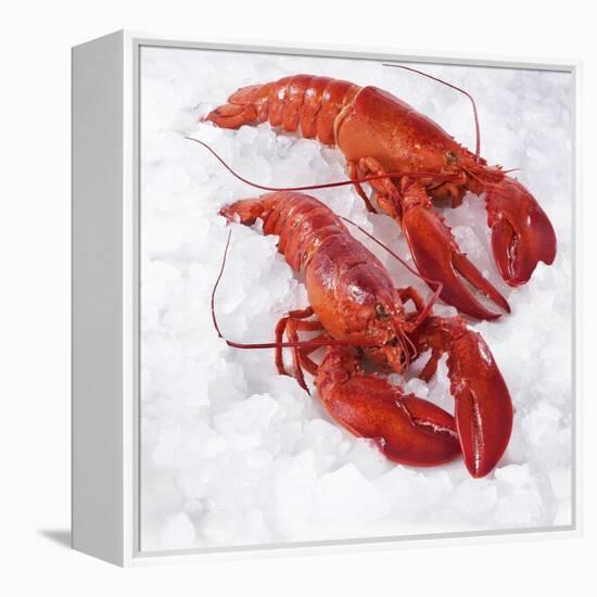 Two Cooked Lobsters on Ice-Jürgen Holz-Framed Premier Image Canvas