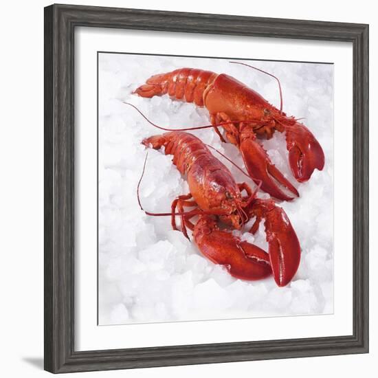 Two Cooked Lobsters on Ice-Jürgen Holz-Framed Photographic Print