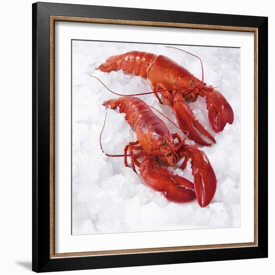 Two Cooked Lobsters on Ice-Jürgen Holz-Framed Photographic Print