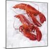 Two Cooked Lobsters on Ice-Jürgen Holz-Mounted Photographic Print