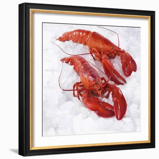 Two Cooked Lobsters on Ice-Jürgen Holz-Framed Photographic Print