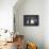 Two Corgi Cardigan-vivienstock-Framed Premier Image Canvas displayed on a wall
