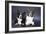 Two Corgi Cardigan-vivienstock-Framed Photographic Print