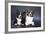 Two Corgi Cardigan-vivienstock-Framed Photographic Print