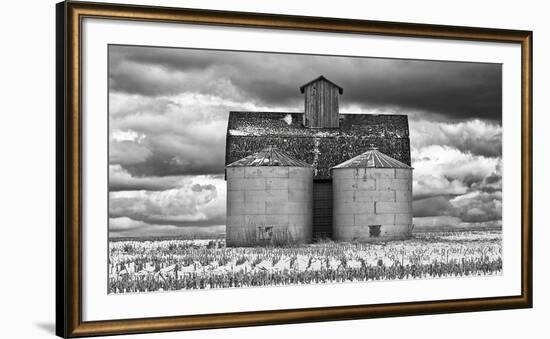 Two Corn Cribs-Trent Foltz-Framed Art Print