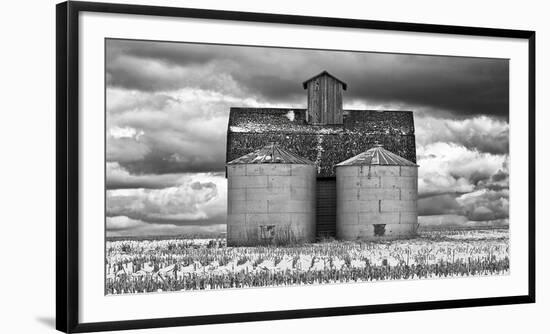 Two Corn Cribs-Trent Foltz-Framed Art Print