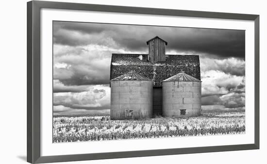 Two Corn Cribs-Trent Foltz-Framed Art Print