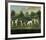 Two Couples of Hounds in a Park-Francis Sartorius-Framed Premium Giclee Print