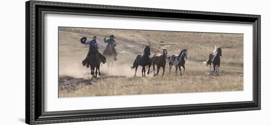 Two Cowboys Herding Horses, Flitner Ranch, Shell, Wyoming, USA-Carol Walker-Framed Photographic Print