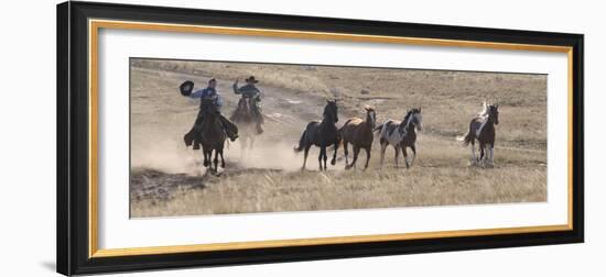 Two Cowboys Herding Horses, Flitner Ranch, Shell, Wyoming, USA-Carol Walker-Framed Photographic Print