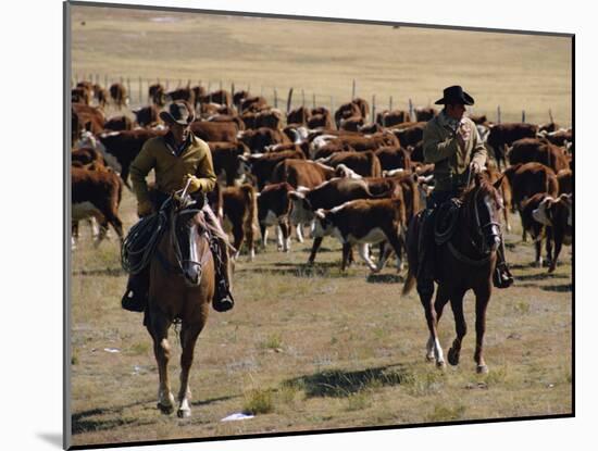 Two Cowboys on Horseback, Cattle Ranching, New Mexico, United States of America, North America-Woolfitt Adam-Mounted Photographic Print