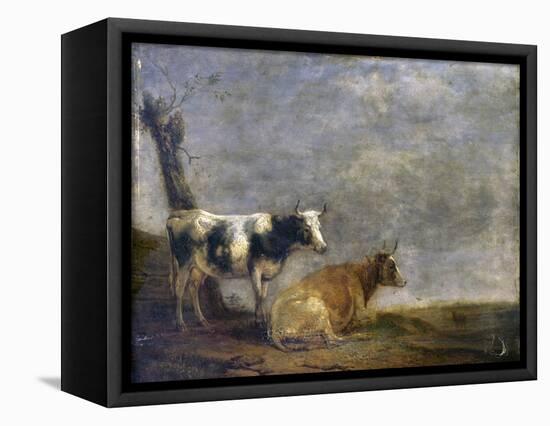 Two Cows, after Paulus Potter, 1652-Paulus Potter-Framed Stretched Canvas
