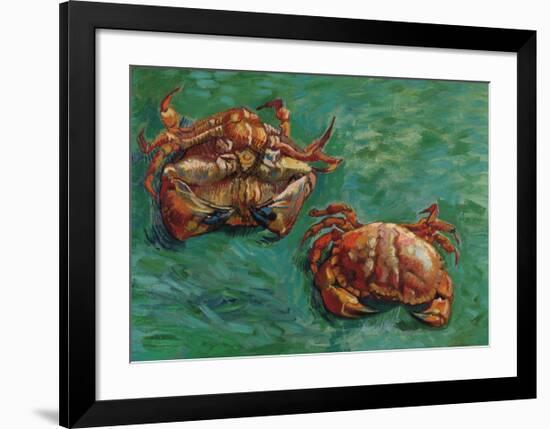 Two Crabs, 1889-Vincent Van Gogh-Framed Premium Giclee Print