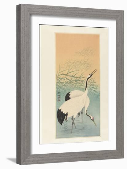 Two Cranes, 1925-26 (Colour Woodcut)-Ohara Koson-Framed Giclee Print