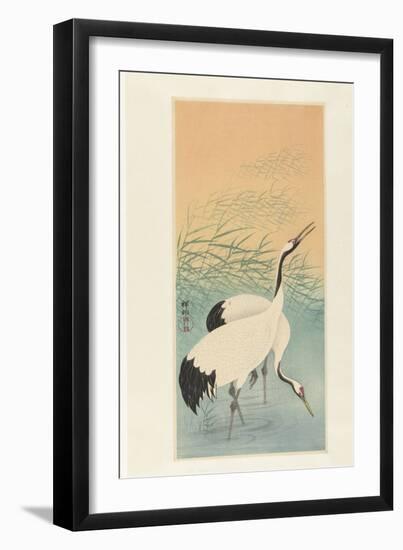 Two Cranes, 1925-26 (Colour Woodcut)-Ohara Koson-Framed Giclee Print