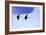 Two Cranes in the Flight-Reiner Bernhardt-Framed Photographic Print