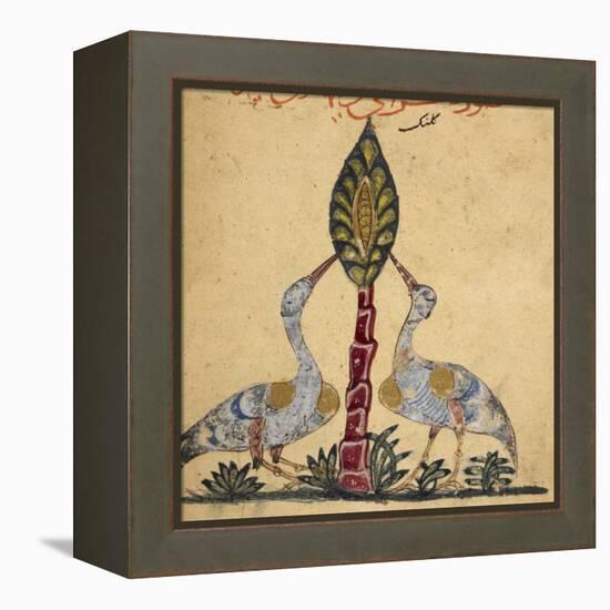 Two Cranes-Aristotle ibn Bakhtishu-Framed Premier Image Canvas