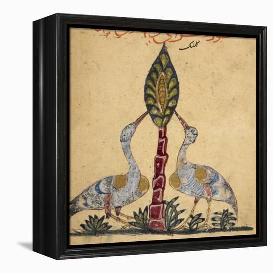 Two Cranes-Aristotle ibn Bakhtishu-Framed Premier Image Canvas