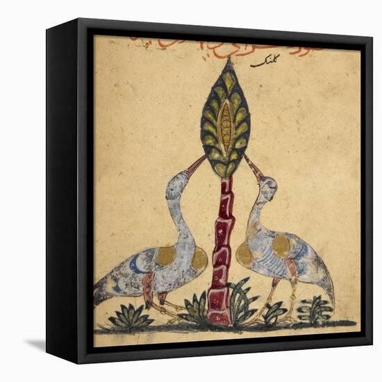 Two Cranes-Aristotle ibn Bakhtishu-Framed Premier Image Canvas