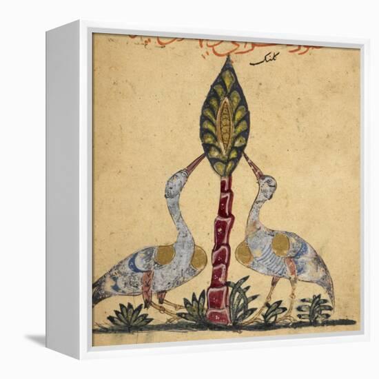 Two Cranes-Aristotle ibn Bakhtishu-Framed Premier Image Canvas