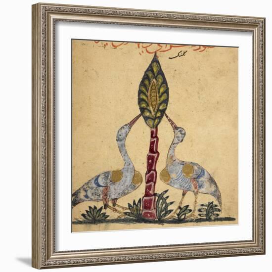 Two Cranes-Aristotle ibn Bakhtishu-Framed Giclee Print