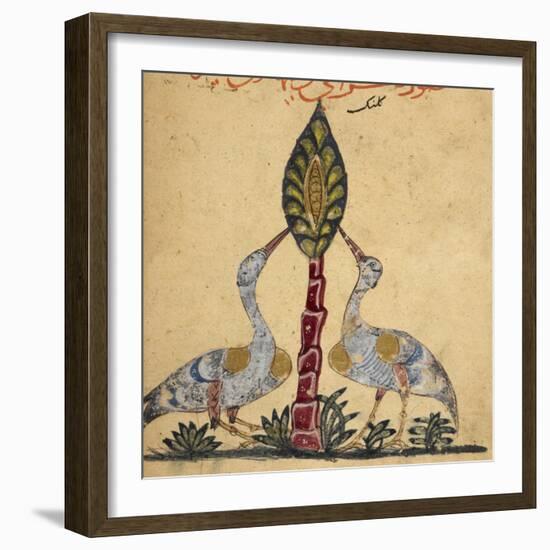 Two Cranes-Aristotle ibn Bakhtishu-Framed Giclee Print