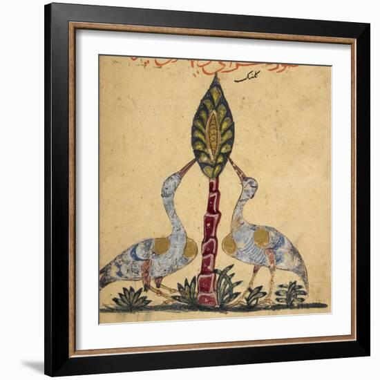 Two Cranes-Aristotle ibn Bakhtishu-Framed Giclee Print