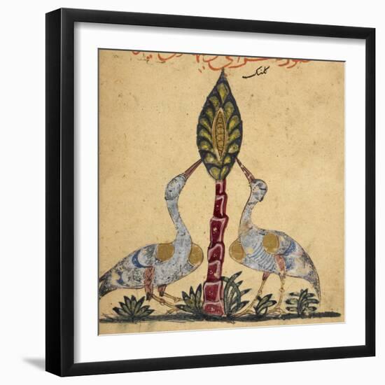 Two Cranes-Aristotle ibn Bakhtishu-Framed Giclee Print