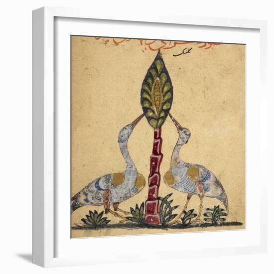 Two Cranes-Aristotle ibn Bakhtishu-Framed Giclee Print