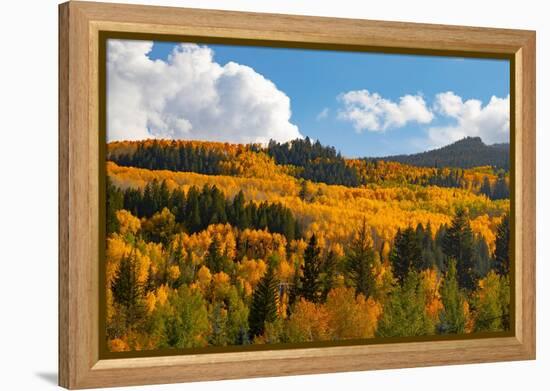 Two Creeks area of Aspen ski resort in autumn.-Mallorie Ostrowitz-Framed Premier Image Canvas