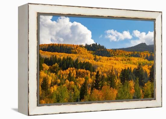 Two Creeks area of Aspen ski resort in autumn.-Mallorie Ostrowitz-Framed Premier Image Canvas