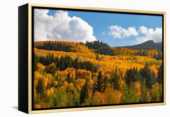 Two Creeks area of Aspen ski resort in autumn.-Mallorie Ostrowitz-Framed Premier Image Canvas