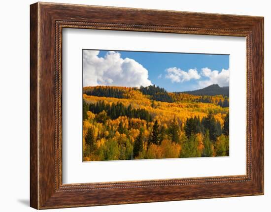 Two Creeks area of Aspen ski resort in autumn.-Mallorie Ostrowitz-Framed Photographic Print