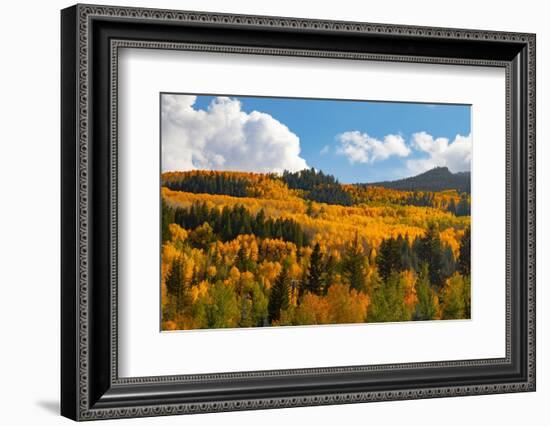 Two Creeks area of Aspen ski resort in autumn.-Mallorie Ostrowitz-Framed Photographic Print