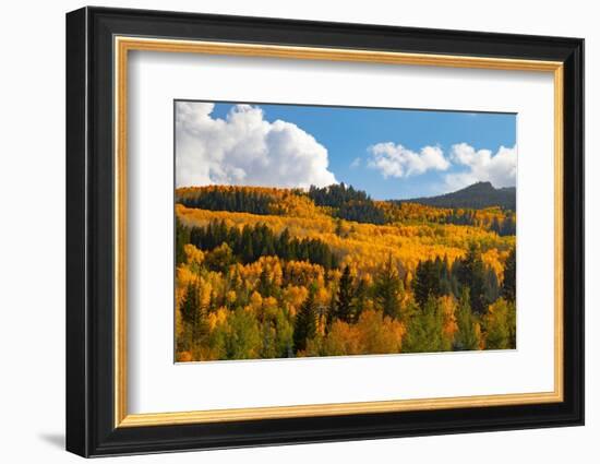 Two Creeks area of Aspen ski resort in autumn.-Mallorie Ostrowitz-Framed Photographic Print