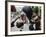 Two Cuban Boys Show Their Boxing Skills-null-Framed Photographic Print