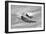 Two Curtiss P-40 Warhawks in Flight Near Nampa, Idaho-null-Framed Photographic Print