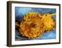 Two Cut Sunflowers, c.1887-Vincent van Gogh-Framed Giclee Print