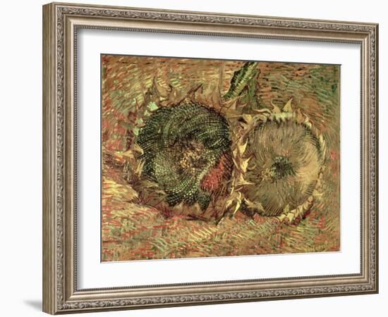 Two Cut Sunflowers, c.1887-Vincent van Gogh-Framed Giclee Print