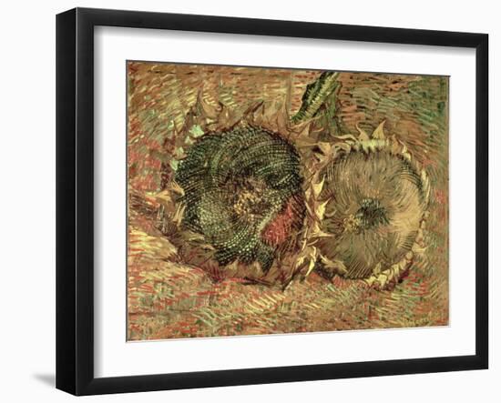 Two Cut Sunflowers, c.1887-Vincent van Gogh-Framed Giclee Print