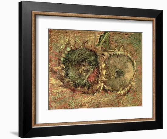 Two Cut Sunflowers, c.1887-Vincent van Gogh-Framed Premium Giclee Print