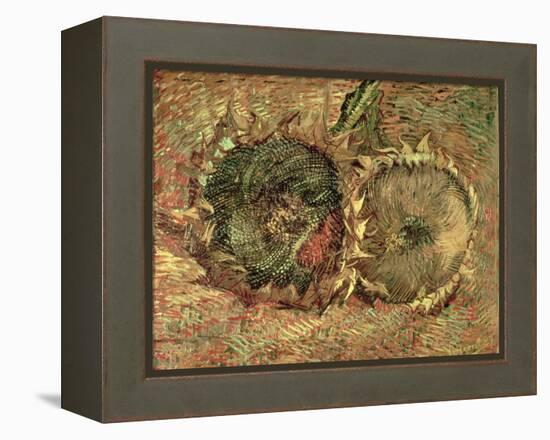 Two Cut Sunflowers, c.1887-Vincent van Gogh-Framed Premier Image Canvas