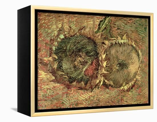 Two Cut Sunflowers, c.1887-Vincent van Gogh-Framed Premier Image Canvas