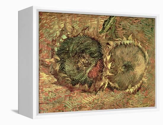 Two Cut Sunflowers, c.1887-Vincent van Gogh-Framed Premier Image Canvas