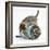 Two Cute Tabby Kittens, Stanley and Fosset, 7 Weeks, Playing with a Tube-Mark Taylor-Framed Photographic Print