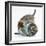 Two Cute Tabby Kittens, Stanley and Fosset, 7 Weeks, Playing with a Tube-Mark Taylor-Framed Photographic Print