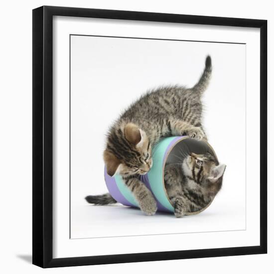 Two Cute Tabby Kittens, Stanley and Fosset, 7 Weeks, Playing with a Tube-Mark Taylor-Framed Photographic Print